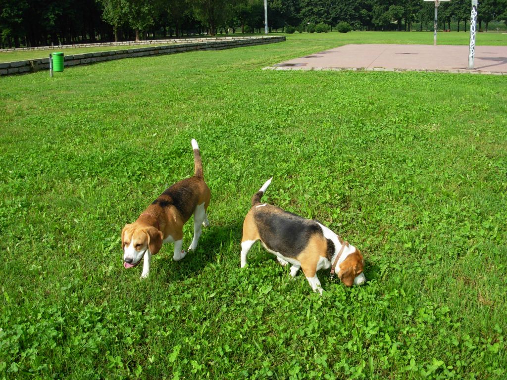 Teo e Nike